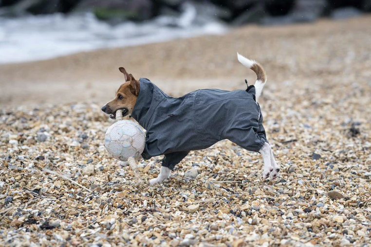 Rukka Flash kombinesoon koertele - Image 4