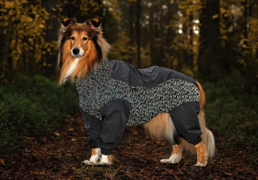 Rukka Flash kombinesoon koertele - Image 6