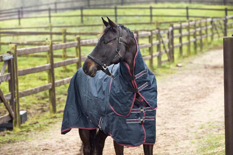 HG Turnout õuetekk kaelaosaga hobusele, 600D-200 g - Image 2