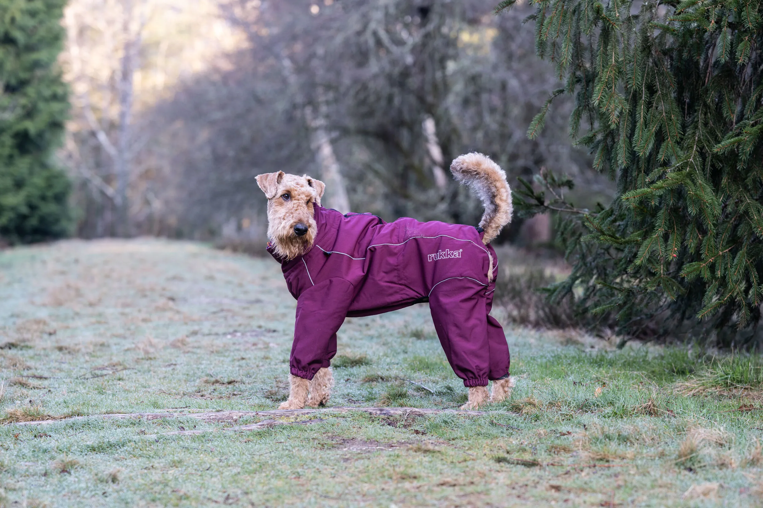 Rukka Thermal Overall soe kombinesoon koertele - Image 5