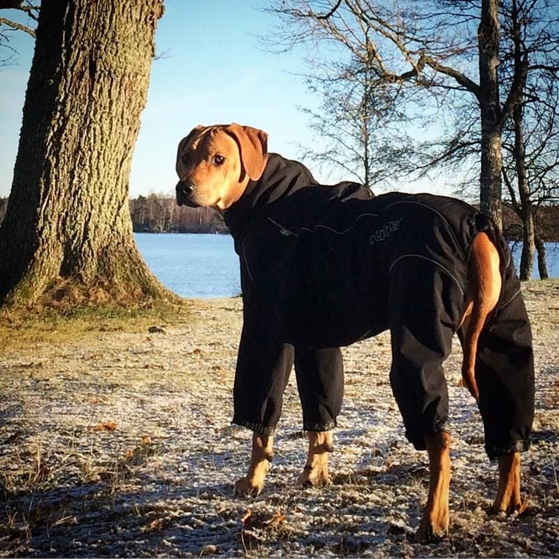 Rukka Thermal Overall soe kombinesoon koertele - Image 3