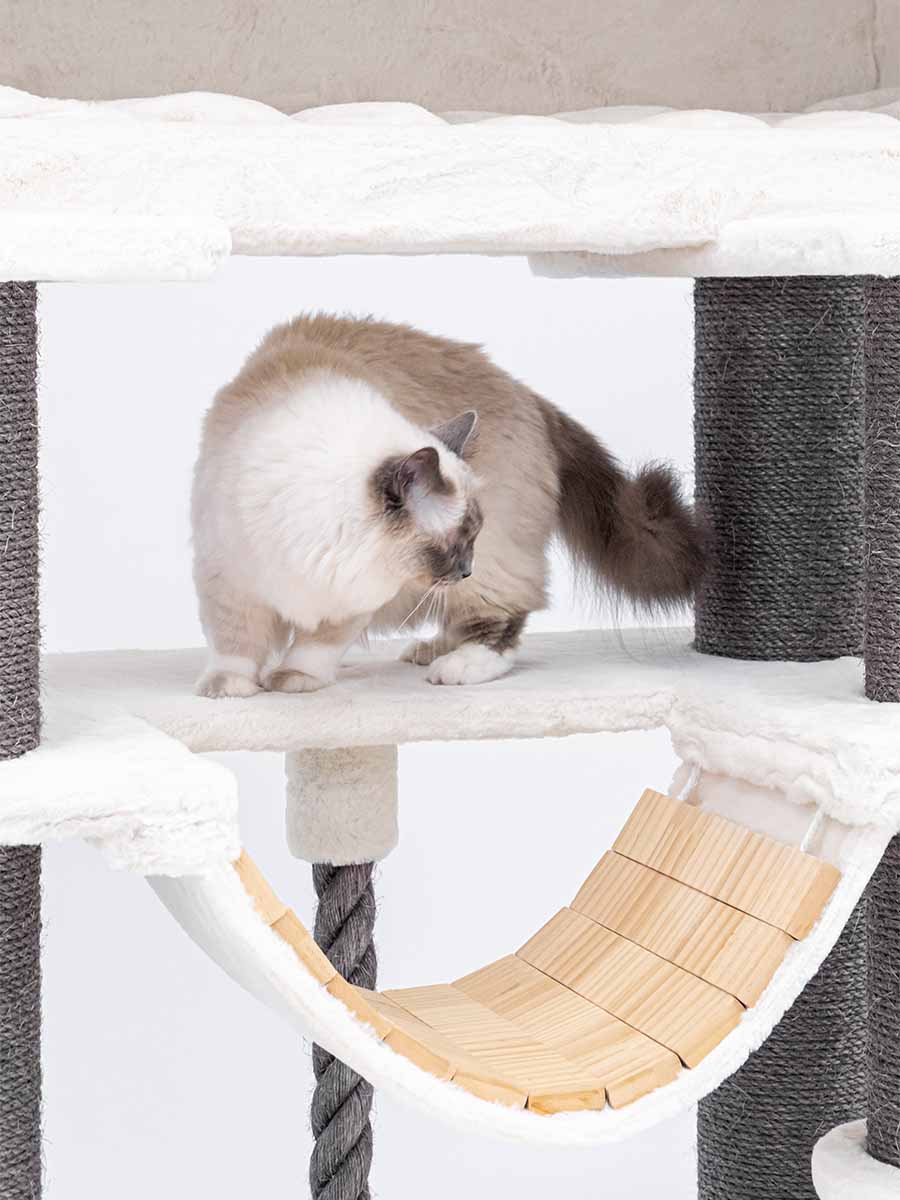 Petrebels Lookout 198 kraapimispuu kassidele - Image 5