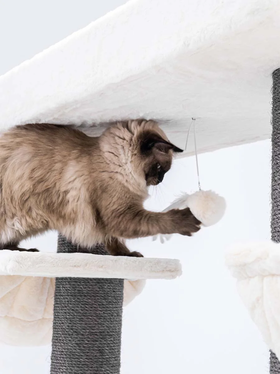 Petrebels Lookout 198 kraapimispuu kassidele - Image 3