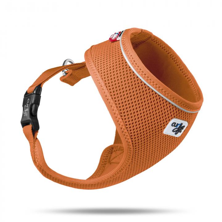 Curli Basic Air-Mesh traksid väikestele koertele - Image 4