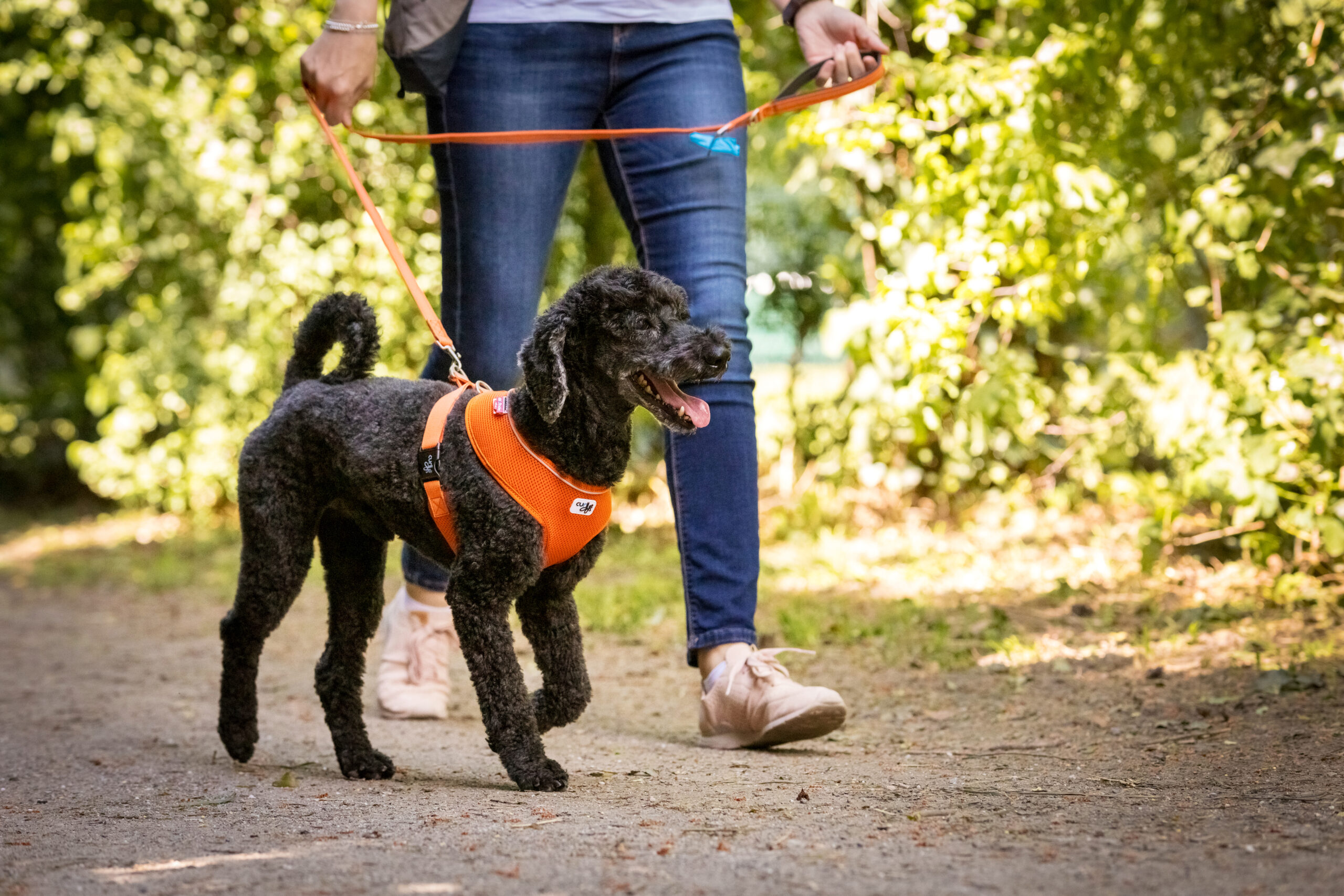 Curli Basic Air-Mesh traksid väikestele koertele - Image 13