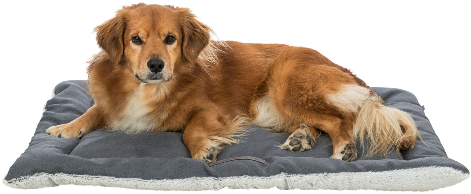 Farello matt lemmikule - Image 4