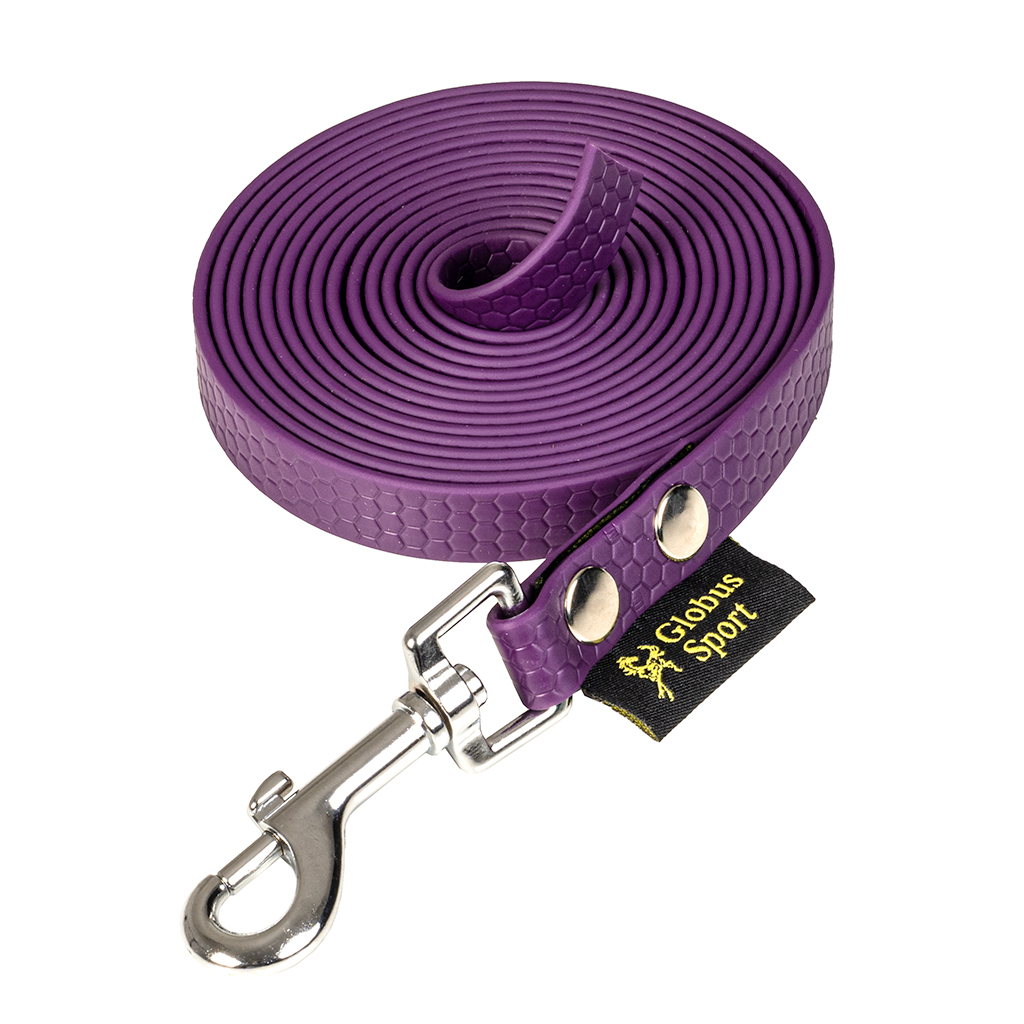 Veekindel jäljerihm Hexagon koertele