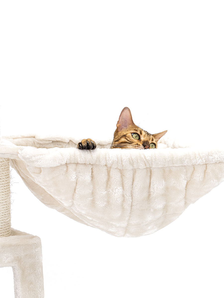 Petrebels Parklane 175 kraapimispuu kassidele - Image 6