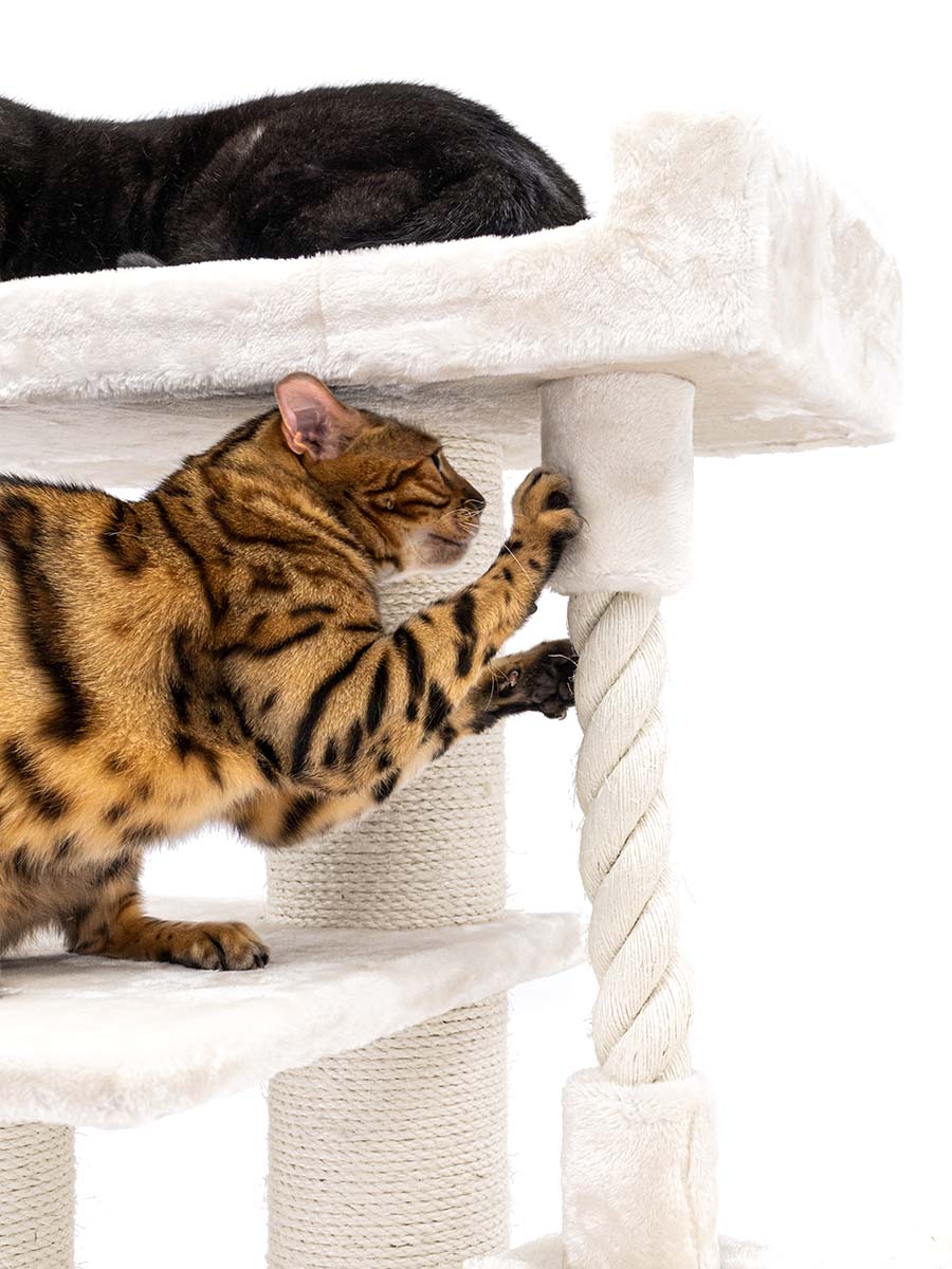 Petrebels Parklane 175 kraapimispuu kassidele - Image 5