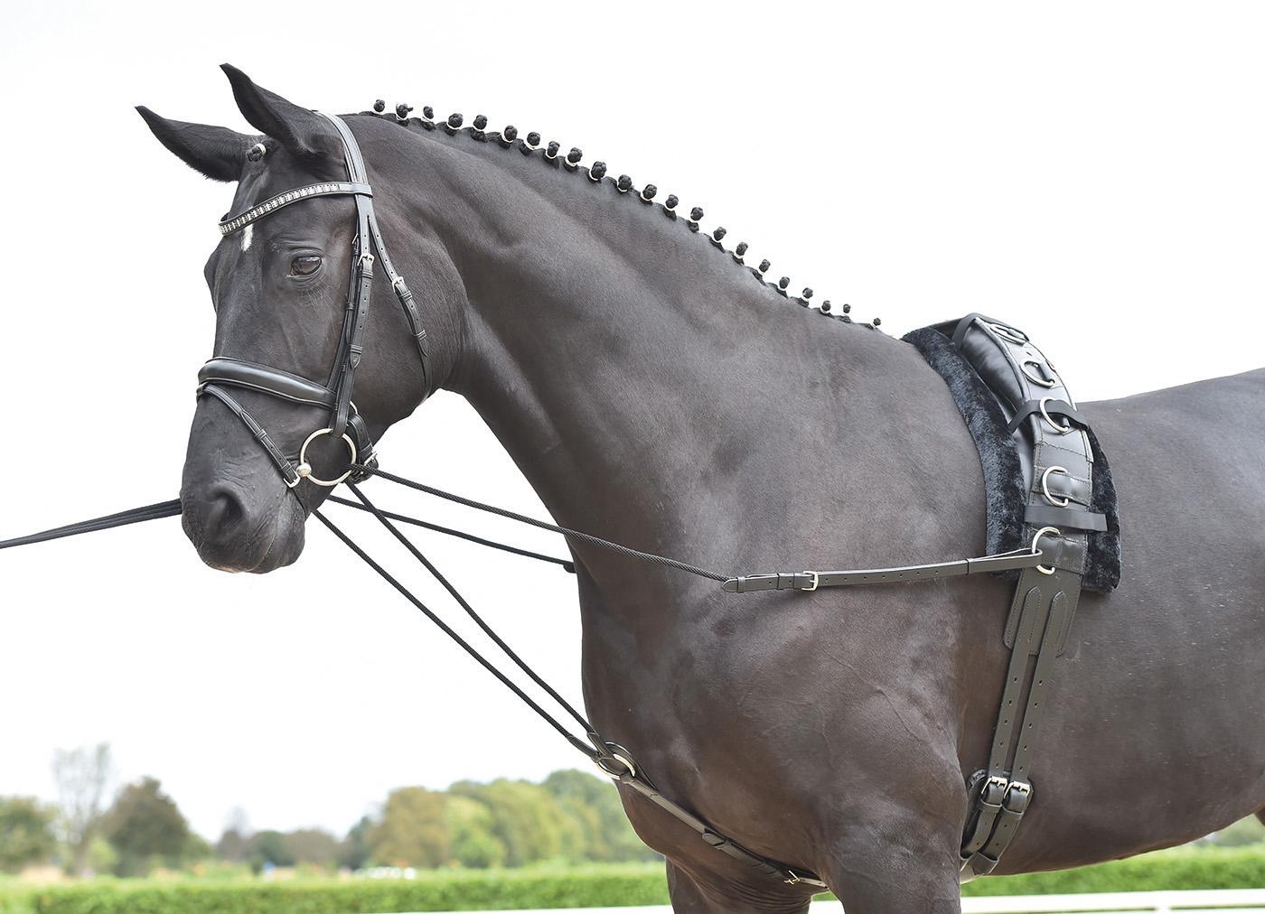 Globus Sport nahast viini ratsmed kordetamiseks - Image 2