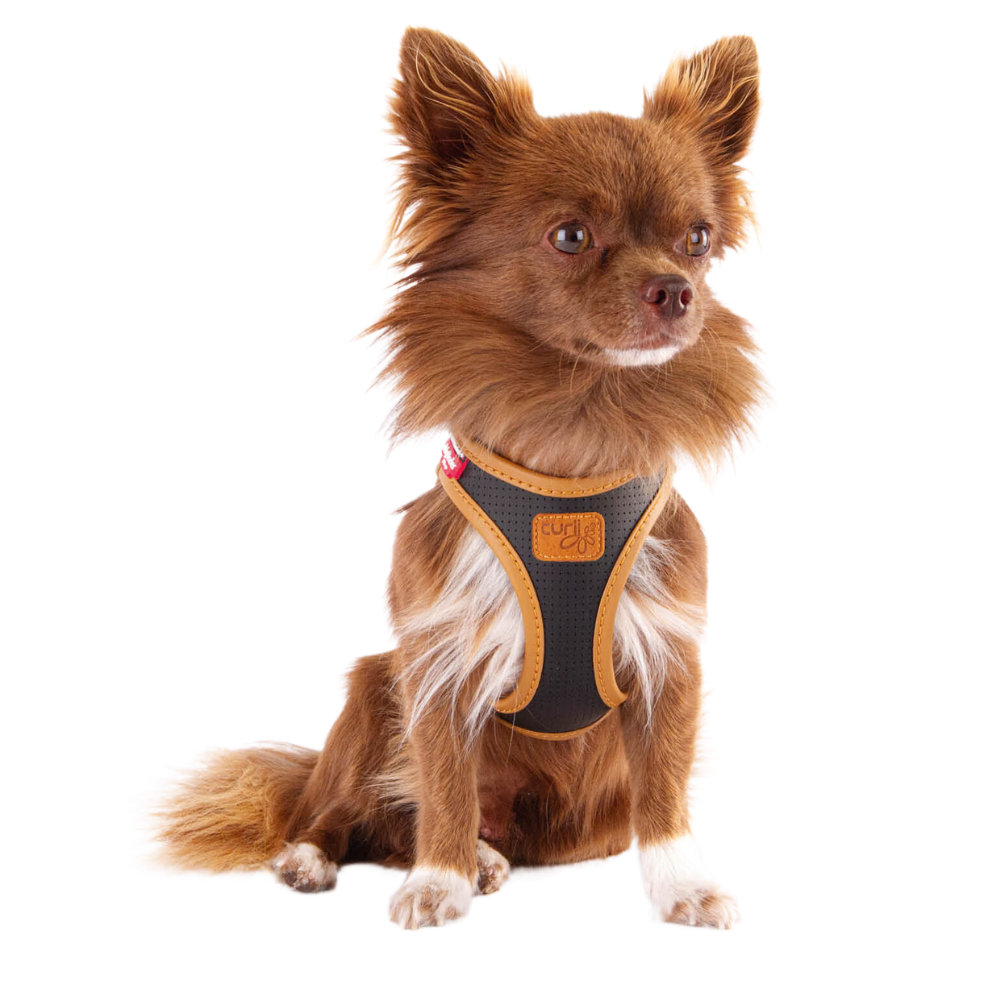 Curli Apple Leather traksid väikestele koertele - Image 6