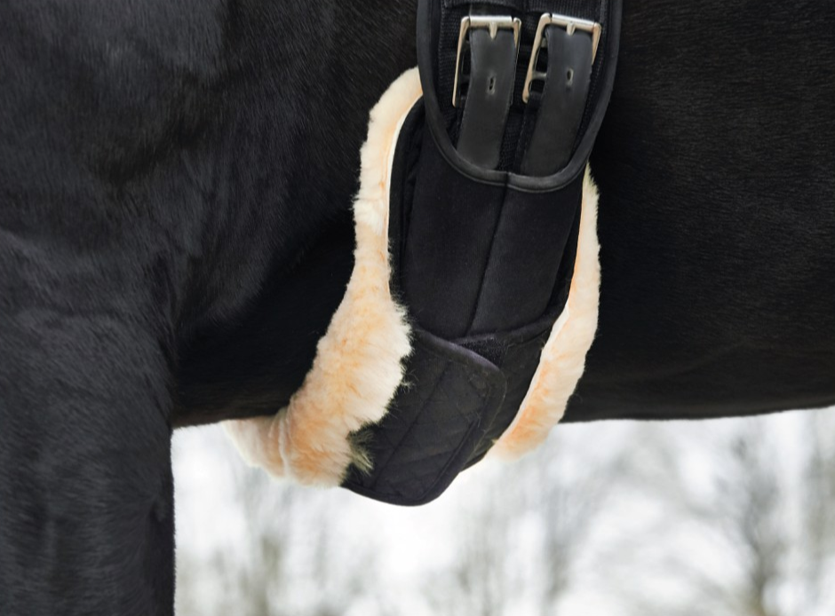 HG lambanahast pehmendus koolisõidu sadulavööle - Image 4