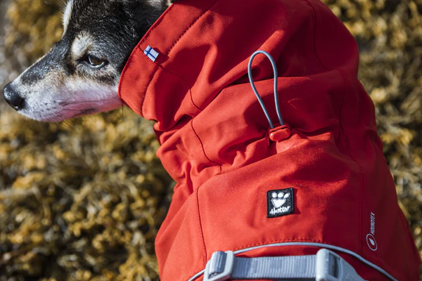 Hurtta Monsoon ECO vihmajope koertele - Image 2