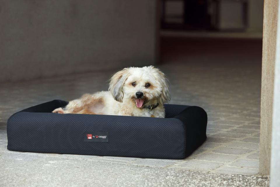 Catago Fir-Tech terapeutiline pesa lemmikule - Image 3