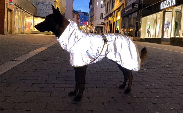 Hurtta Mudventure Reflective vihmajope koertele - Image 5