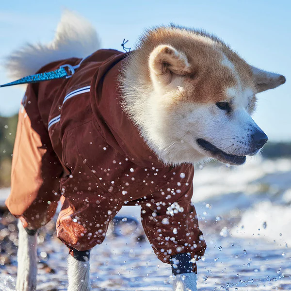 Hurtta Mudventure ECO vihmakombinesoon koertele - Image 6