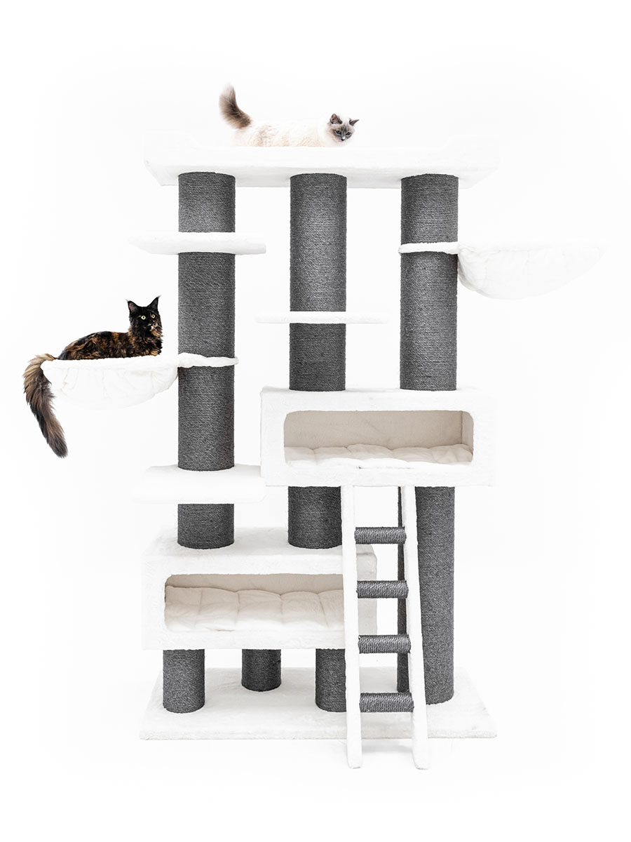 Petrebels Siberian 200 kraapimispuu kassidele - Image 7