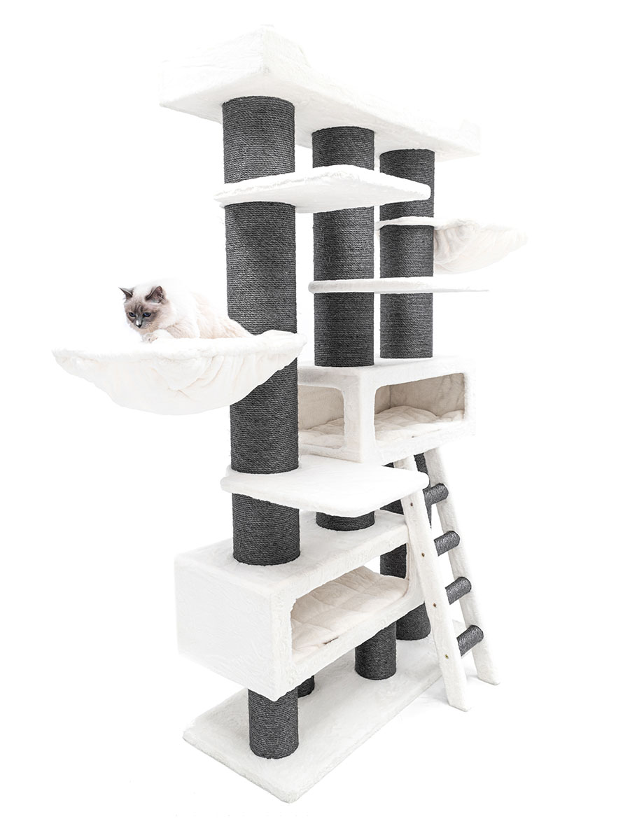 Petrebels Siberian 200 kraapimispuu kassidele - Image 6