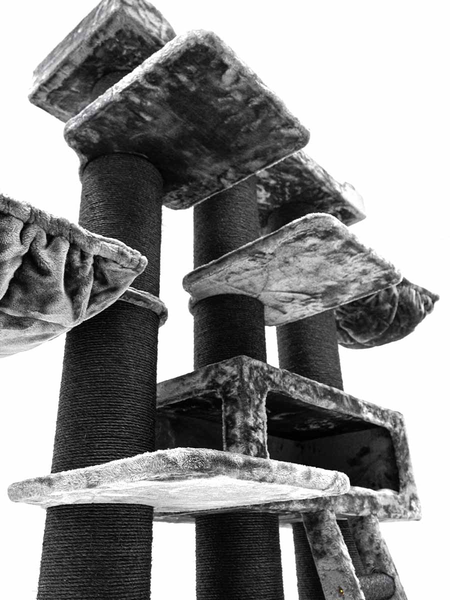 Petrebels Siberian 200 kraapimispuu kassidele - Image 4