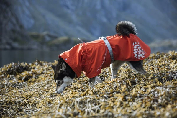 Hurtta Monsoon ECO vihmajope koertele - Image 3