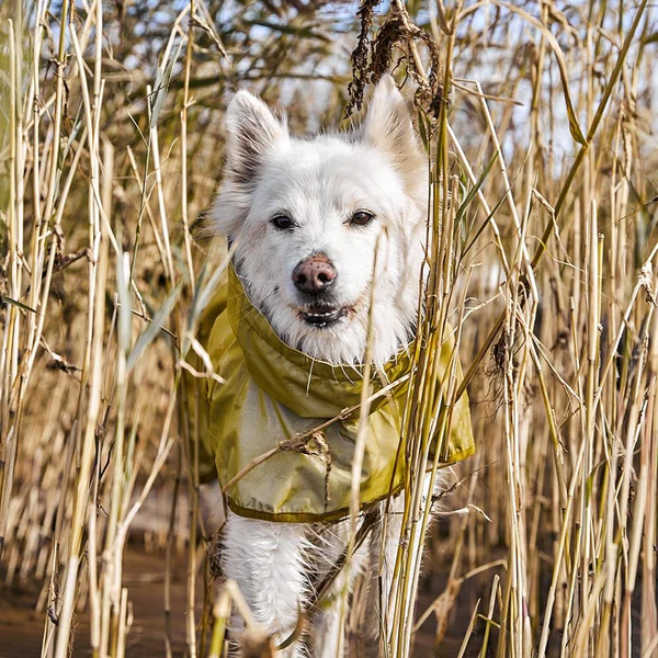 Hurtta Mudventure Reflective vihmajope koertele - Image 7