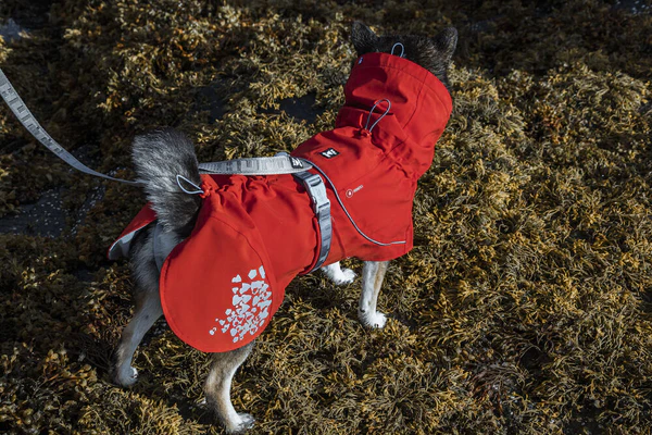 Hurtta Monsoon ECO vihmajope koertele - Image 7