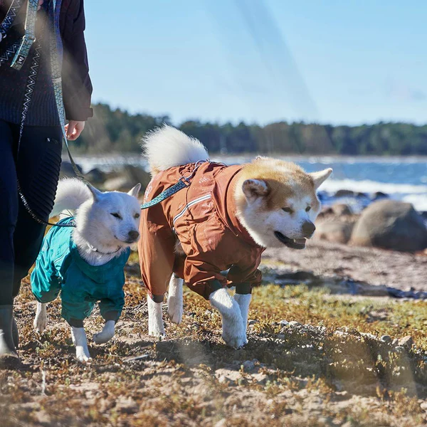 Hurtta Mudventure ECO vihmakombinesoon koertele - Image 5