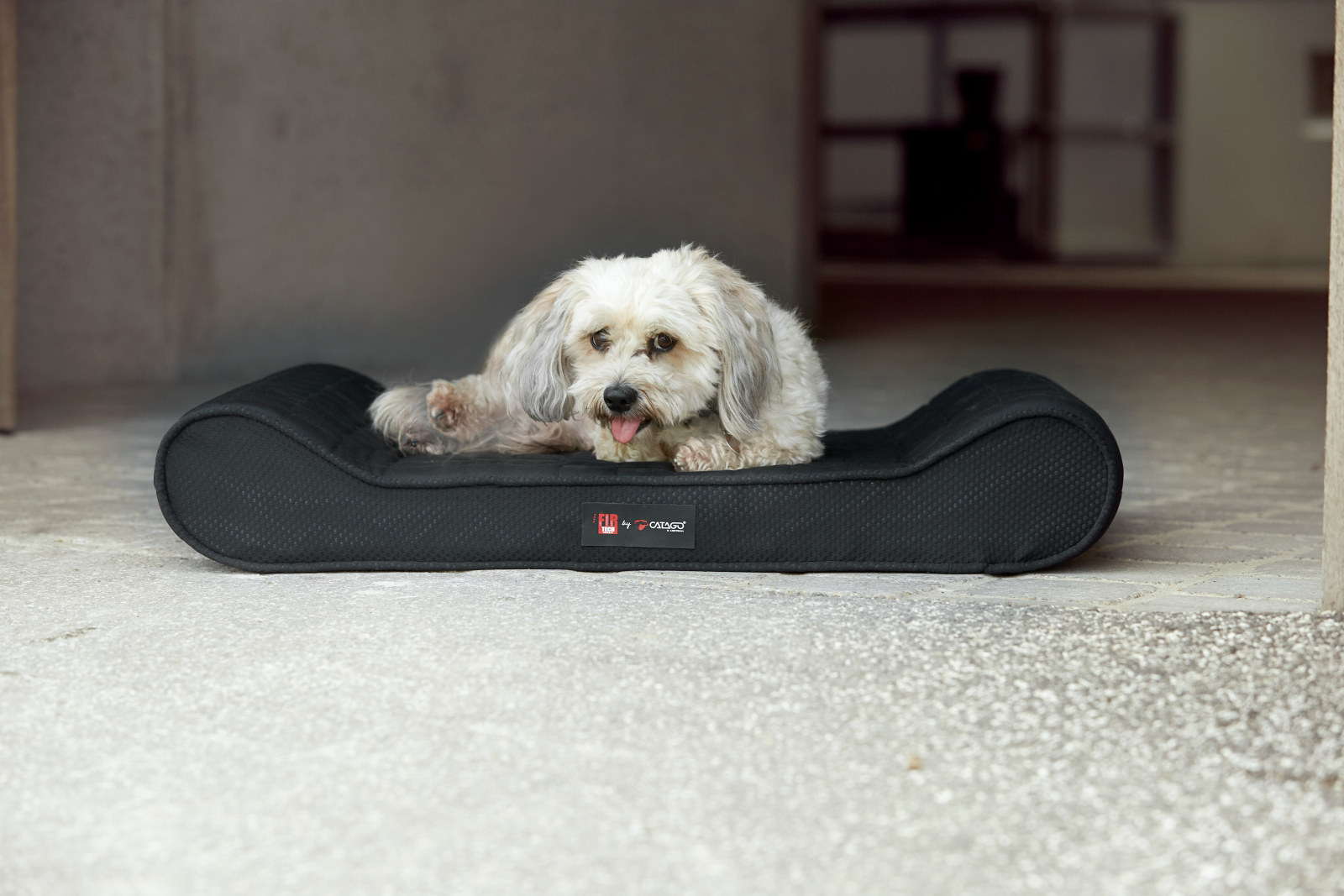 Catago Fir-Tech terapeutiline madrats lemmikule - Image 4