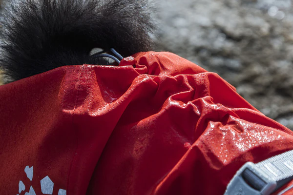 Hurtta Monsoon ECO vihmajope koertele - Image 6