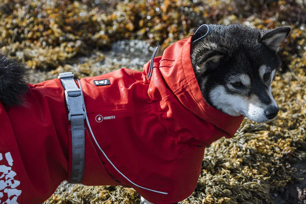 Hurtta Monsoon ECO vihmajope koertele - Image 4