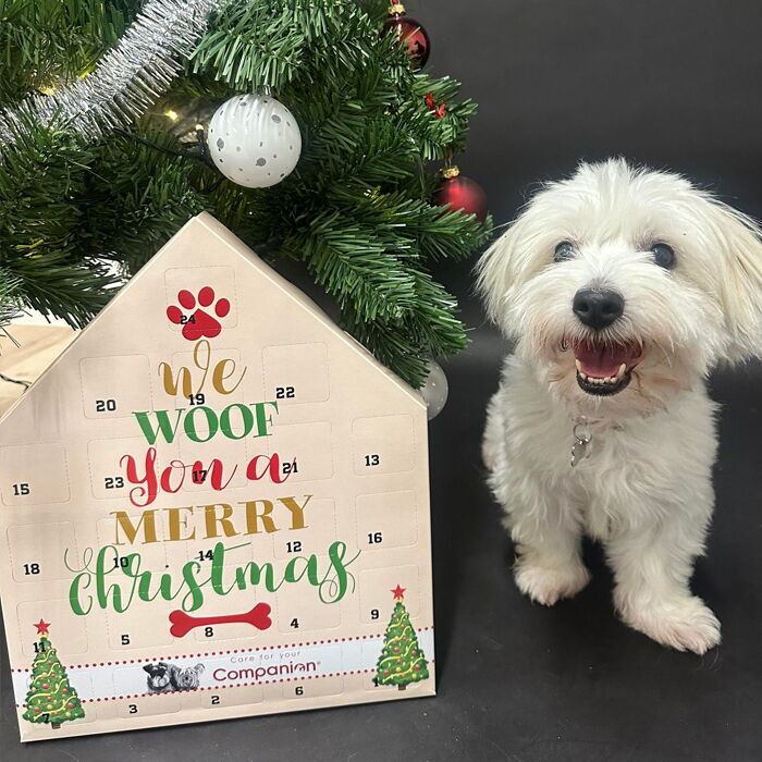 Companion advendikalender koertele - Image 3