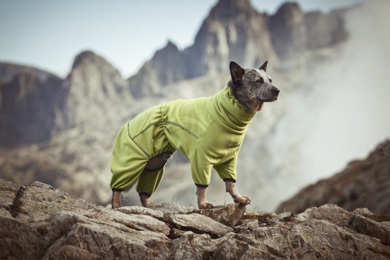 Hurtta mikrofliisist kombinesoon, 50 cm - Image 2