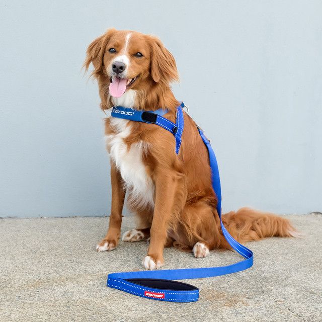 Ezydog Quick Fit traksid koertele - Image 3