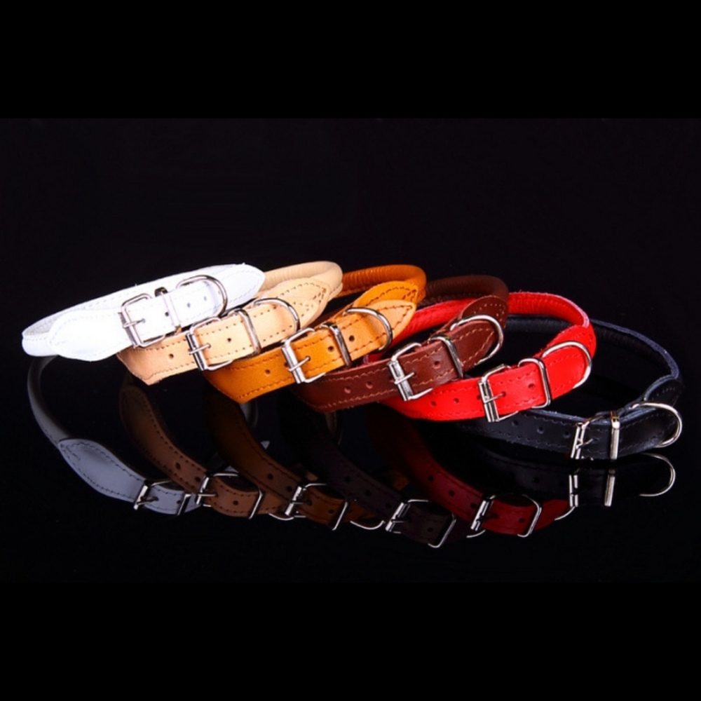 ZL ümarast nahast kaelarihm