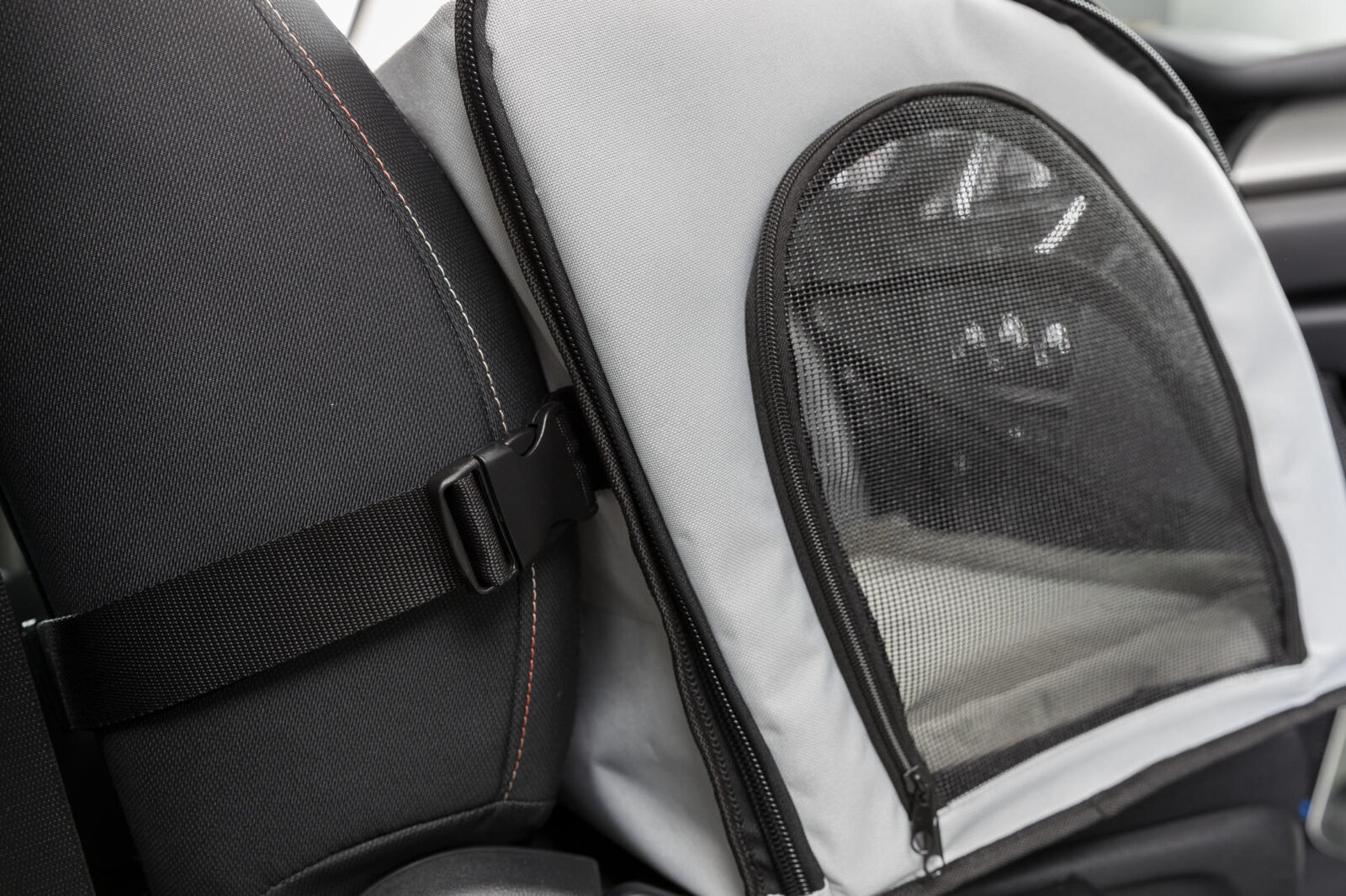 TX panipaigaga autopesa koerale - Image 7