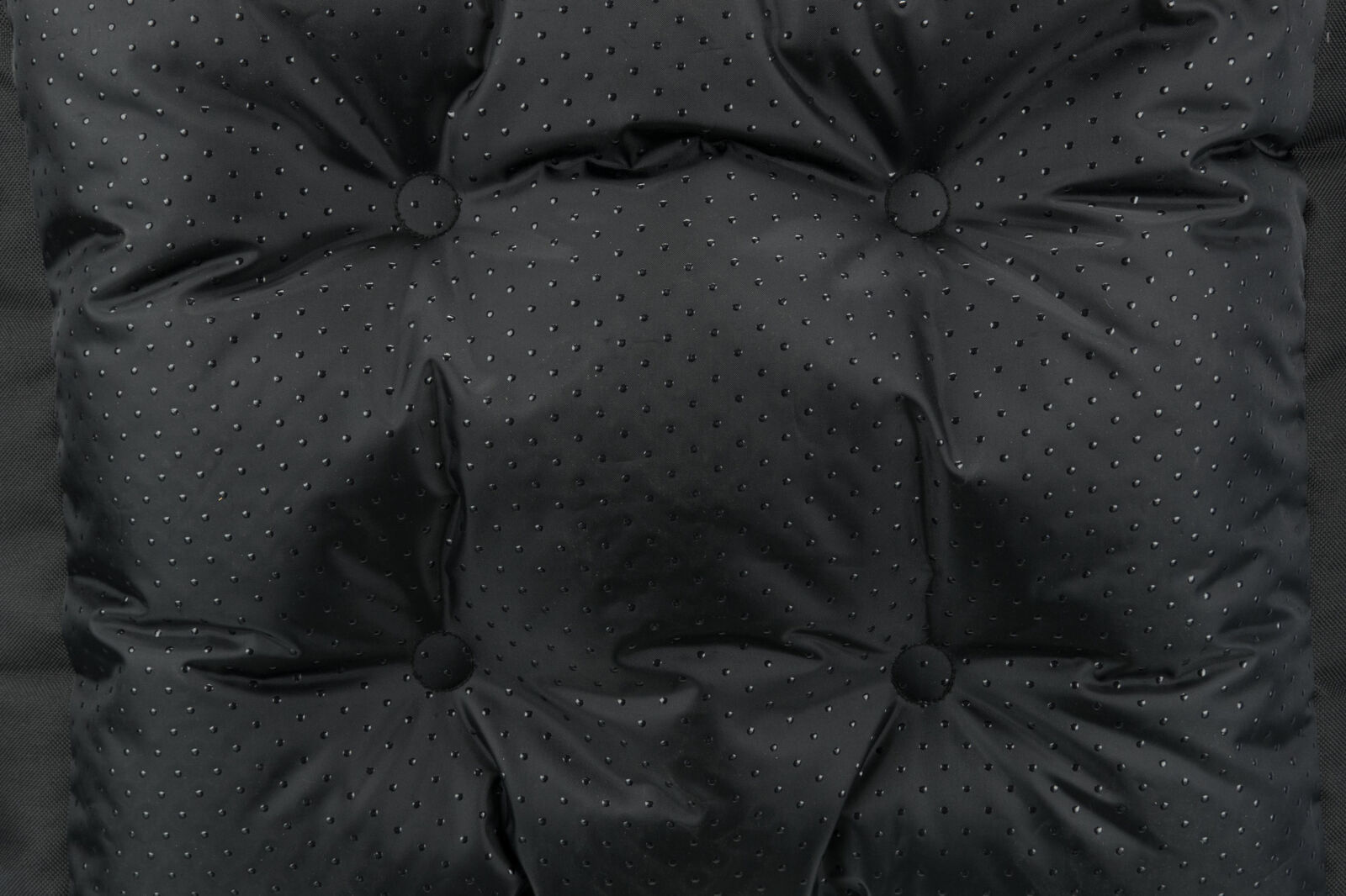 TX autopesa koerale - Image 6