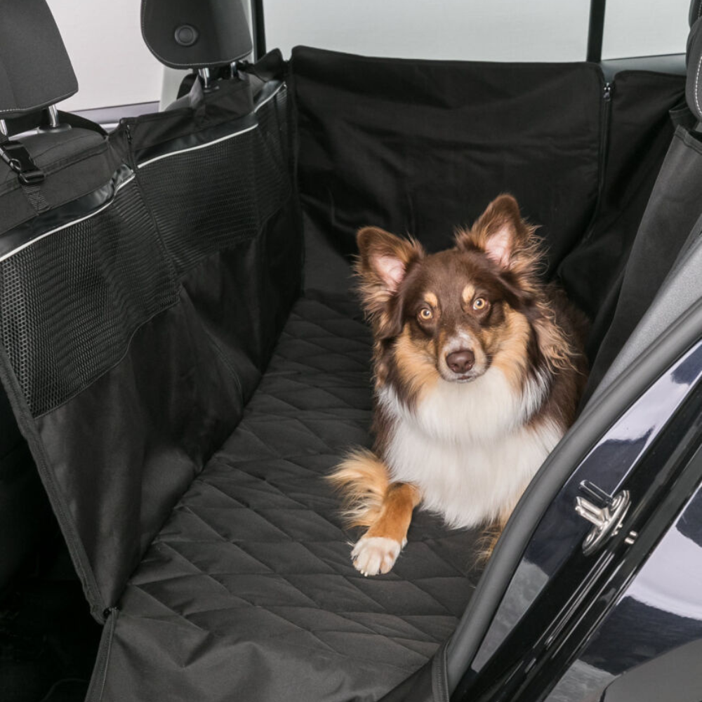 TX külgedega tagaistme kate