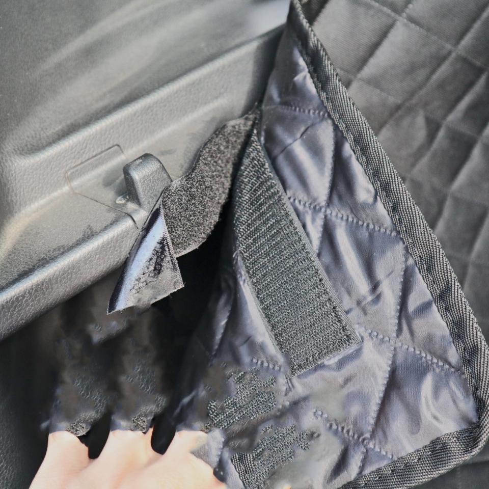 Companion pagasnikukaitse - Image 2