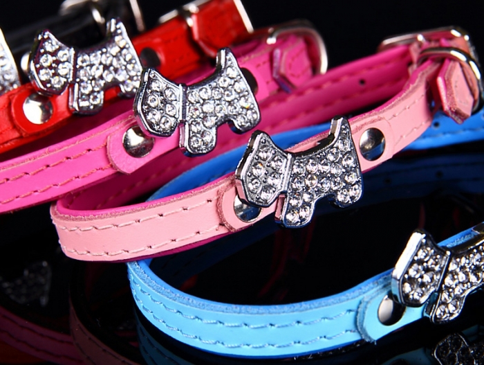 ZL nahast kaelarihm Super York väiksele koerale - Image 3