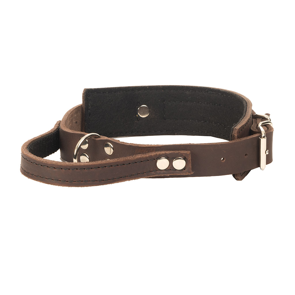 GS nahast koera kaelarihm käeaasaga Bill - Image 12