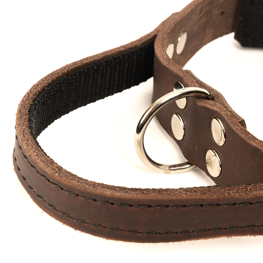 GS nahast koera kaelarihm käeaasaga Bill - Image 11