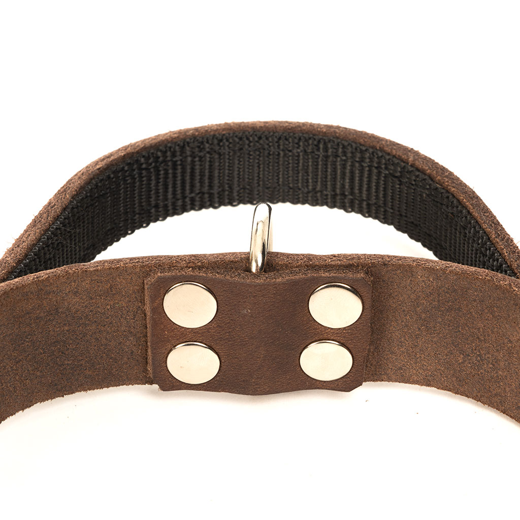 GS nahast koera kaelarihm käeaasaga Bill - Image 10