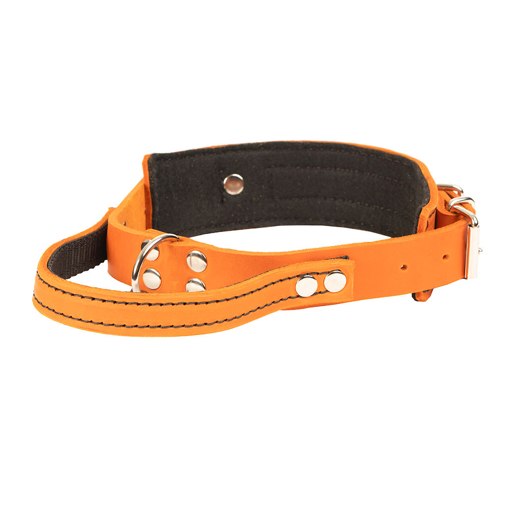 GS nahast koera kaelarihm käeaasaga Bill - Image 4