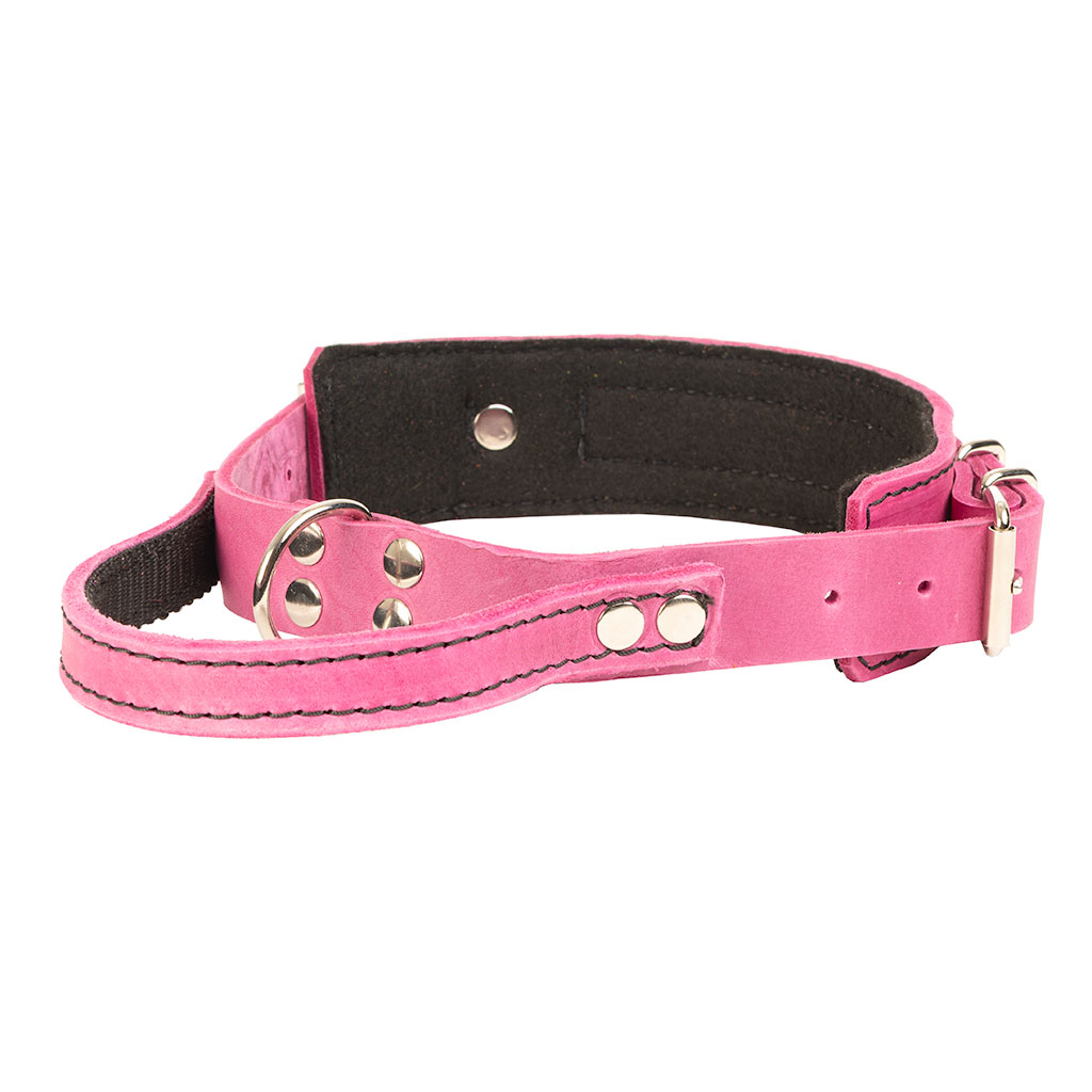 GS nahast koera kaelarihm käeaasaga Bill - Image 5