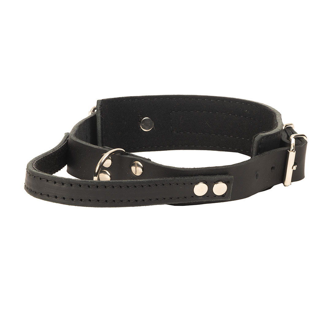 GS nahast koera kaelarihm käeaasaga Bill - Image 2