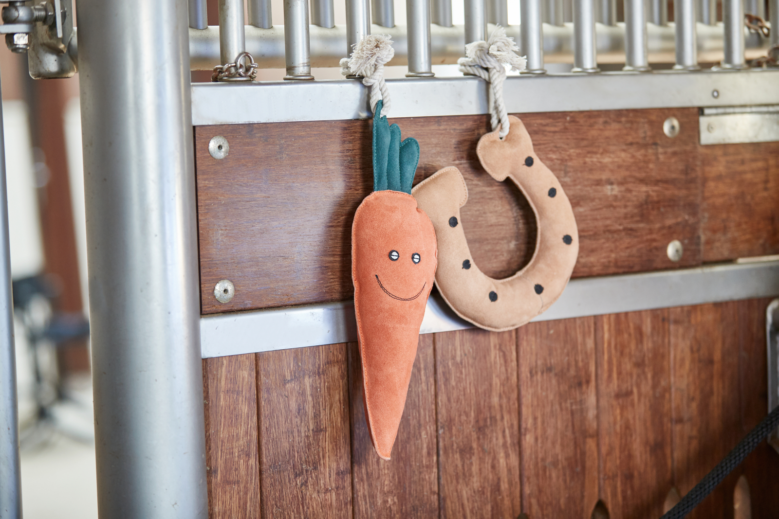 HG Horseshoe mänguasi hobustele - Image 2