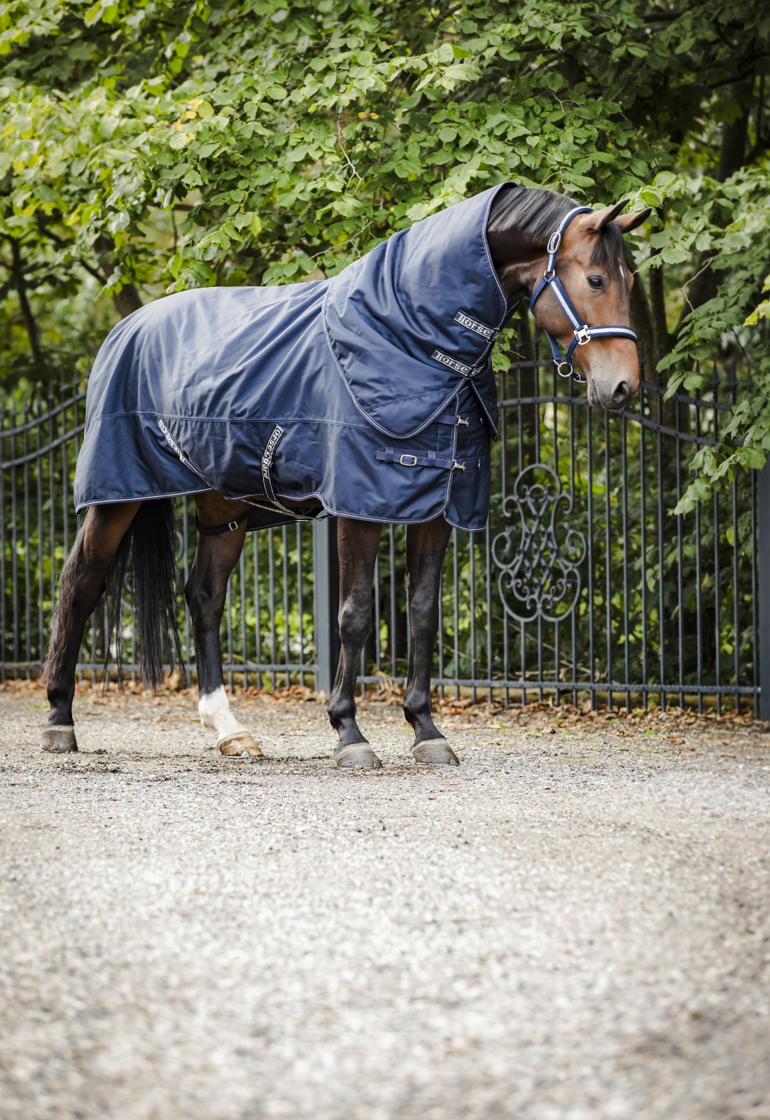 HG Landon vihmatekk hobusele, 1200D - 0g - Image 8