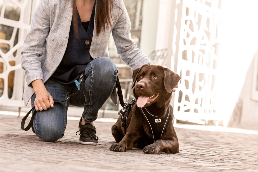 Curli Belka Comfort traksid koertele - Image 7