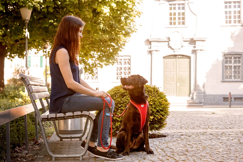 Curli Belka Comfort traksid koertele - Image 5