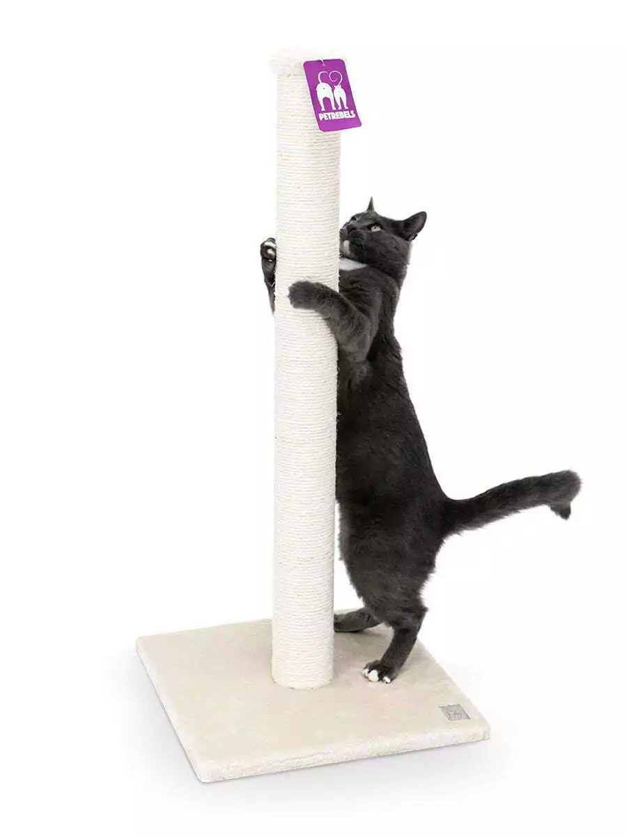 Petrebels Maine 90 kraapimispuu kassidele - Image 6